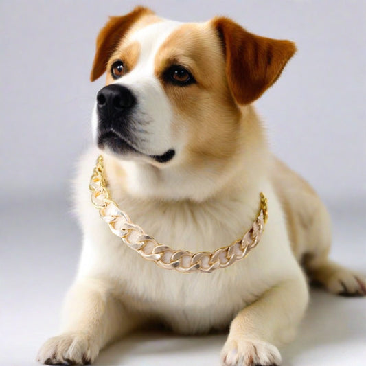 Fashion Dog Bully Gold Chain Collar